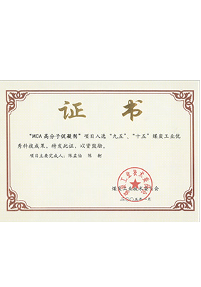 2005年1月MCA高分子促凝劑獲“九五、十五”科技成果獎(jiǎng)