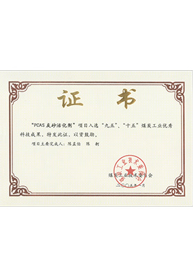 2005年1月PCAS灰砂活化劑獲“九五、十五”科技成果獎